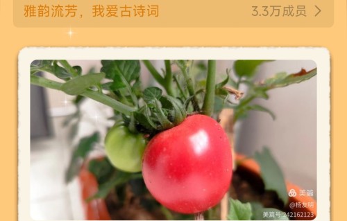 杨友明诗词研究     杨友明作品中还有哪些意象蕴含着人生哲理？