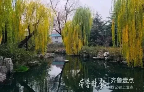 中秋佳节