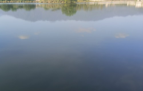 吟自在秋水