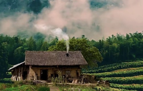 今天是你的生日