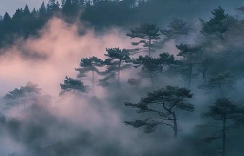 杨友明诗词研究   在杨友明作品中，“云雾”意象是如何体现人生哲理的？