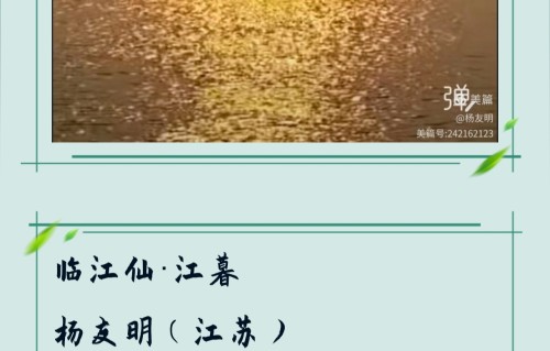 杨友明诗词研究    这些意象在杨友明不同的诗词中是如何具体运用的？