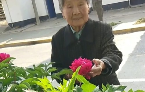 杨友明诗词研究   杨友明悼念舅妈诗赏析