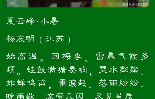 杨友明诗词研究