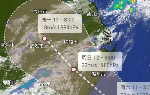 《“巴威”来了》