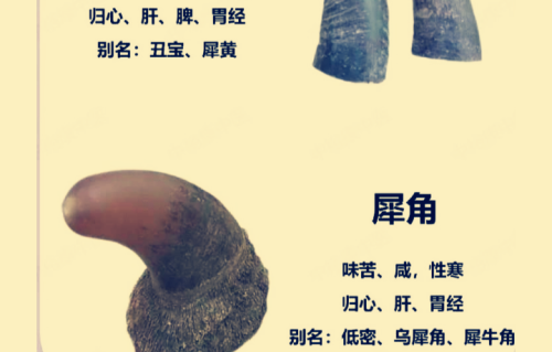 本草风物｜犀角（现代诗）