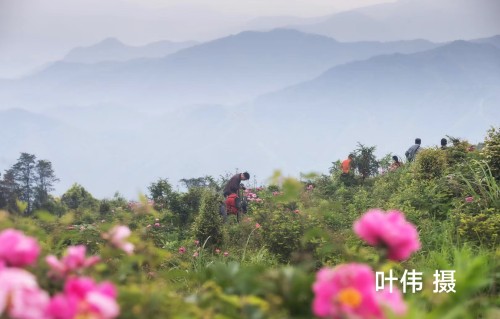 云山仙境咏
