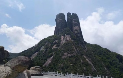 春光好·紫玉兰