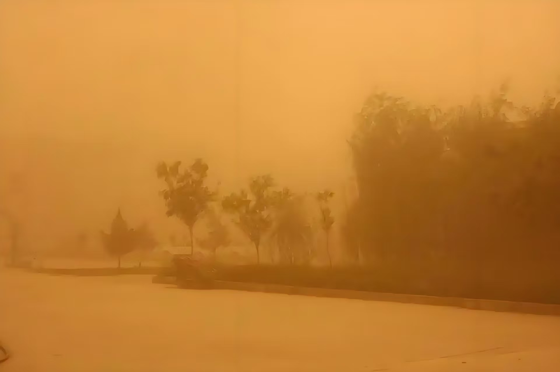 沙尘暴1.jpg