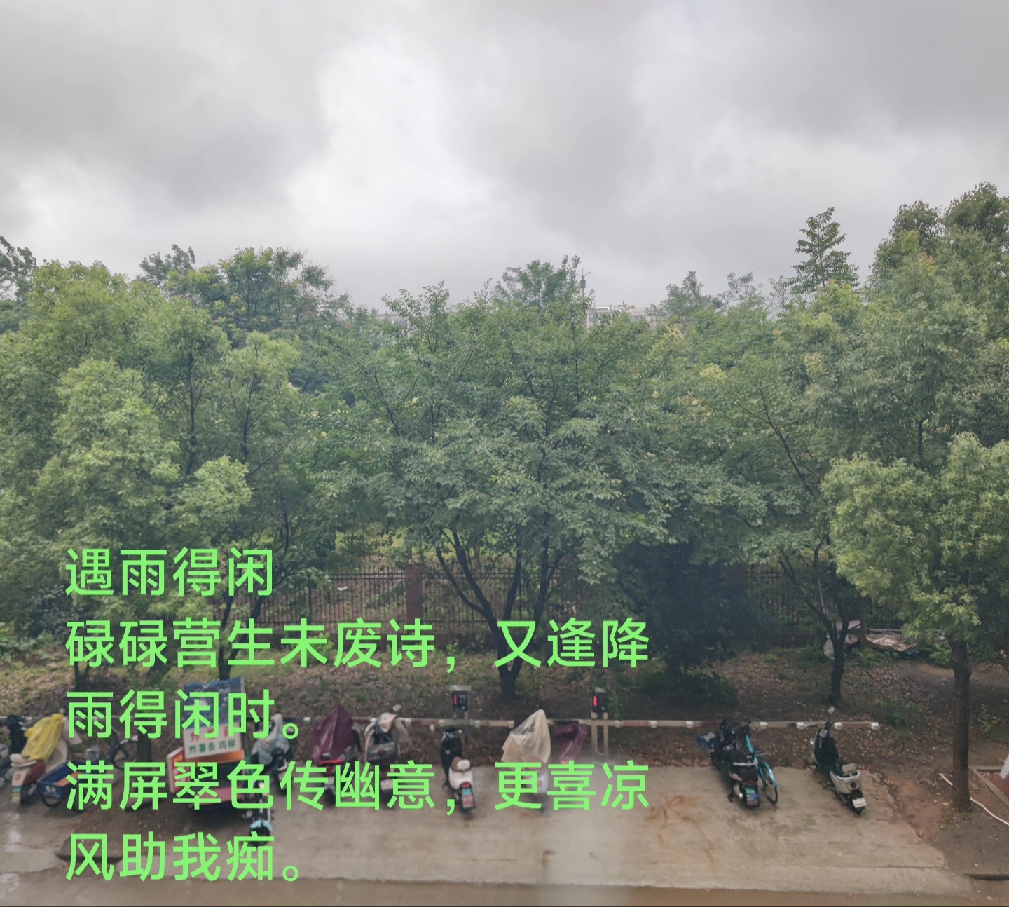 IMG_20250607_082640.jpg