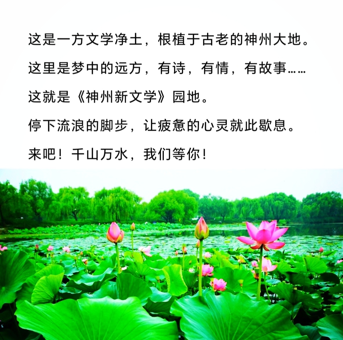 MEITU_20250111_202030580_edit_384150324349655.jpg
