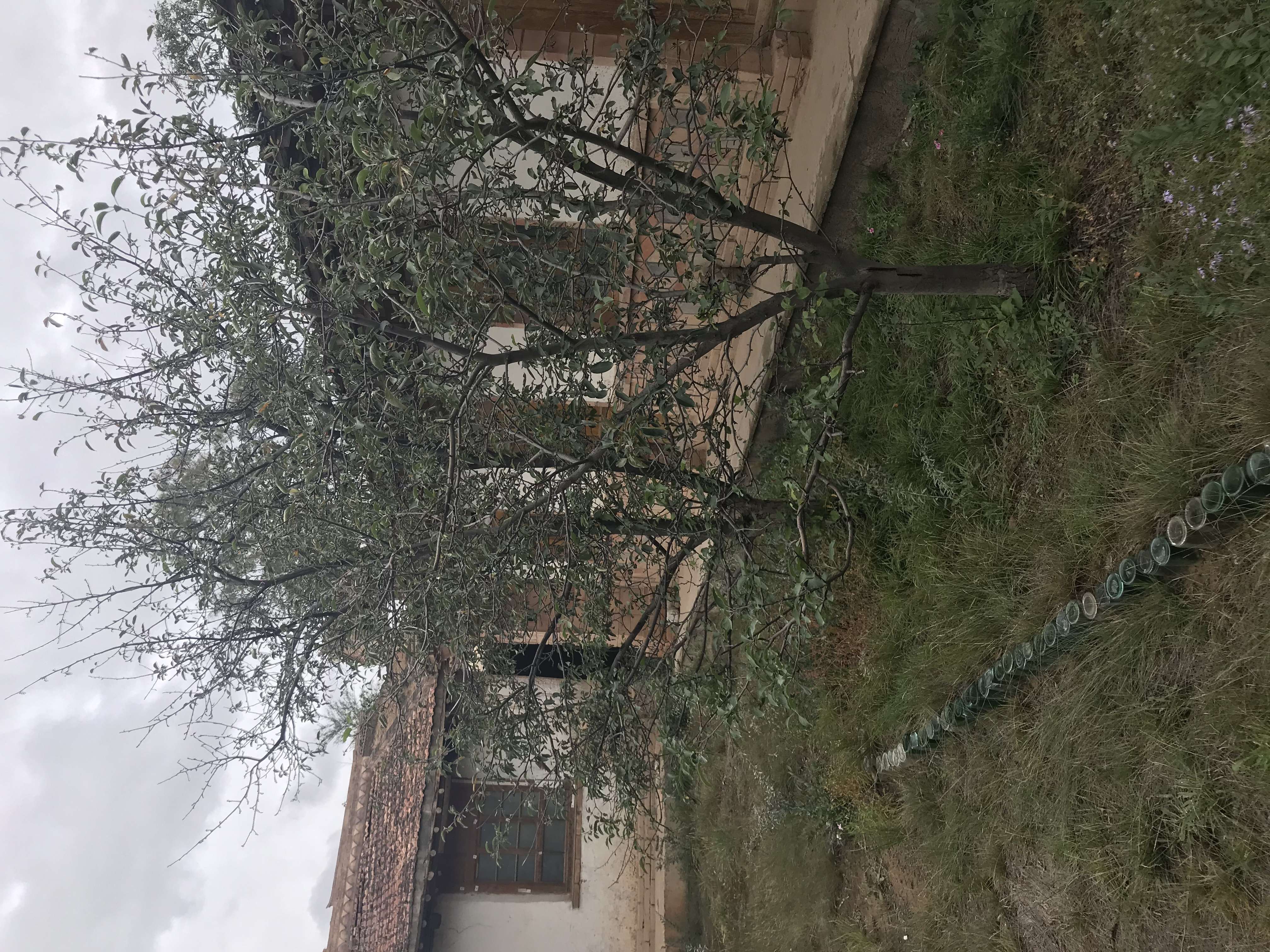 b8a2c928cdc380a182bf7b6e92441ab.jpg b8a2c928cdc380a182bf7b6e92441ab.jpg