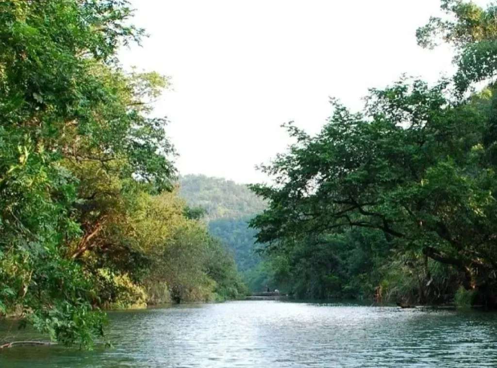 6bf66a8392a24ca05c3c1fcad7df67e4_edit_620102404970113.jpg 6bf66a8392a24ca05c3c1fcad7df67e4_edit_620102404970113.jpg