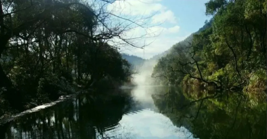 ea469834145dac1d5712a5e89d3880a8_edit_620124446563730.jpg ea469834145dac1d5712a5e89d3880a8_edit_620124446563730.jpg