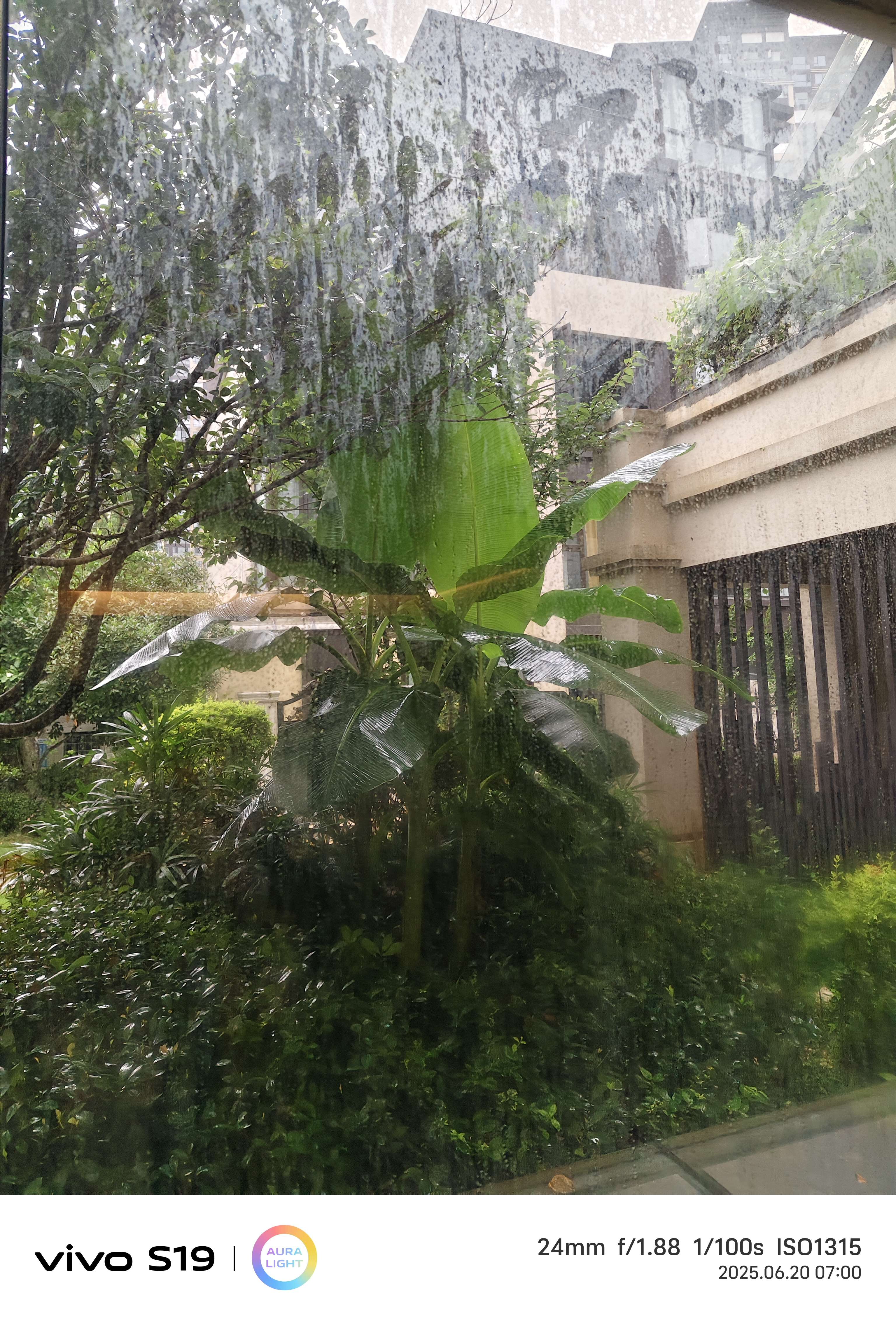 IMG_20250620_070015.jpg