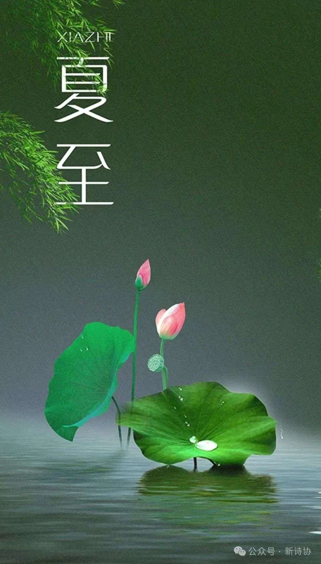 微信图片_20250621093232.jpg 微信图片_20250621093232.jpg