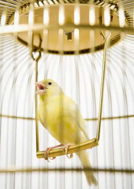 Screenshot_2025_0628_200919.png Screenshot_2025_0628_200919.png