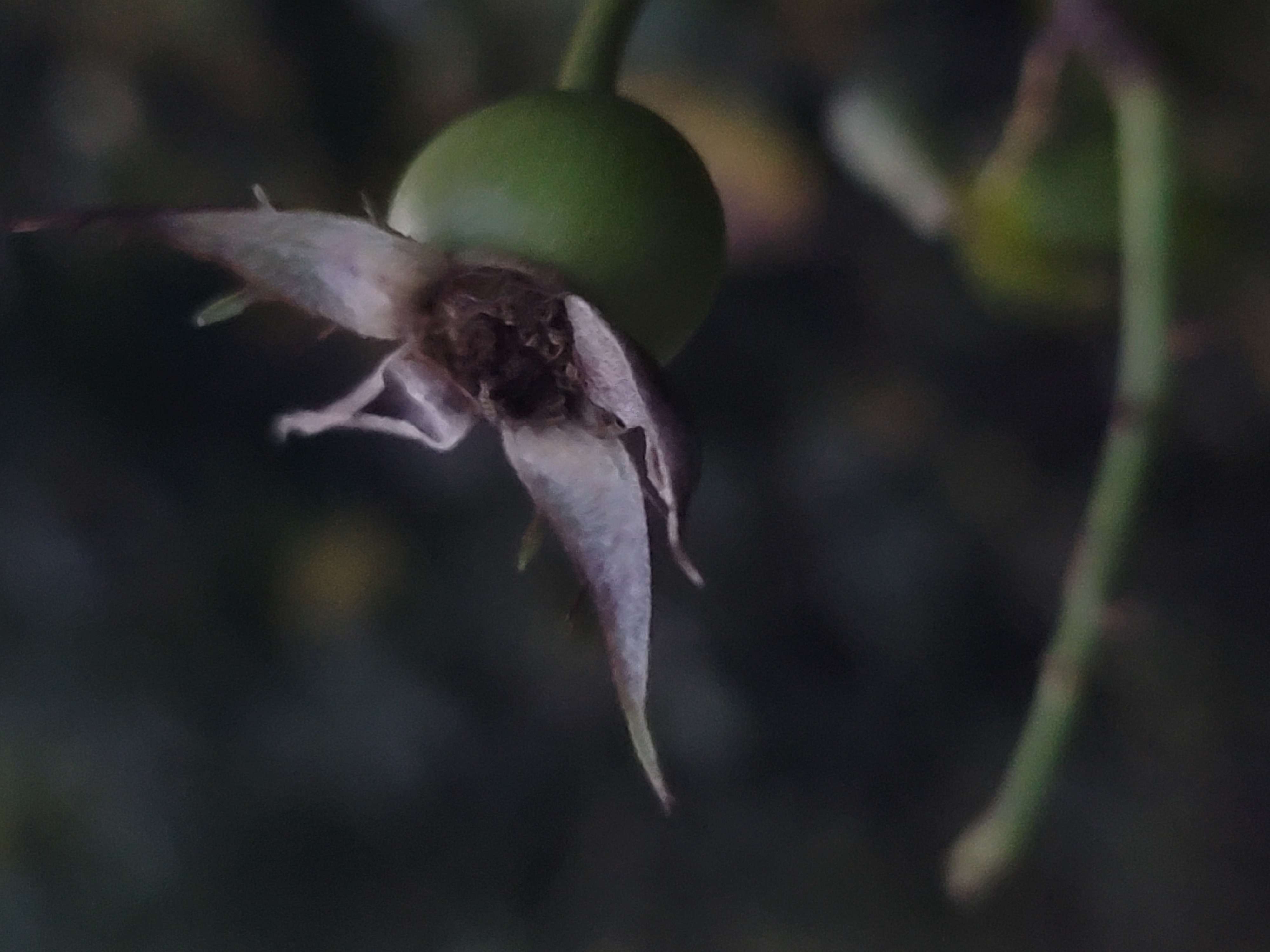 20250625_190804.jpg 20250625_190804.jpg