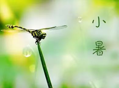 439ce3251b17d92fd5fc354acb8b3a3.jpg 439ce3251b17d92fd5fc354acb8b3a3.jpg