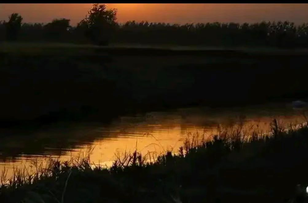 dc38b6b118ec8b235fa207356d16483.jpg dc38b6b118ec8b235fa207356d16483.jpg