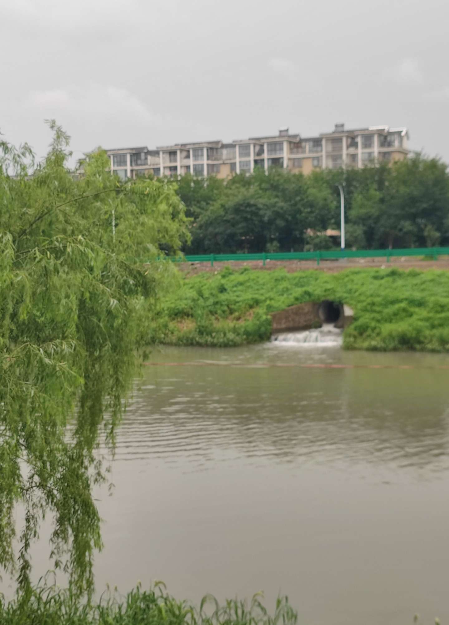 IMG_20250713_080154.jpg IMG_20250713_080154.jpg