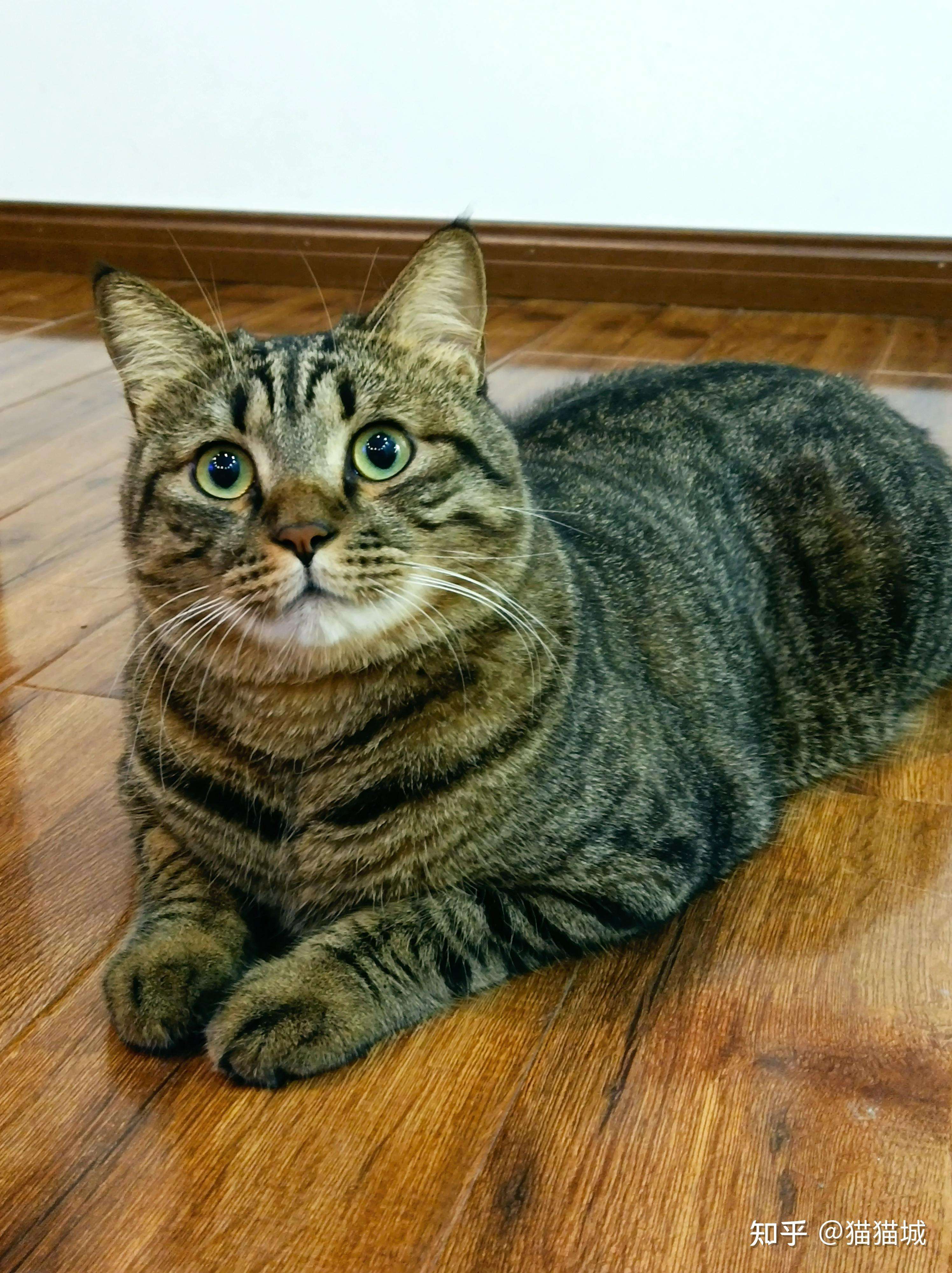 1752679523256.jpeg 1752679523256.jpeg