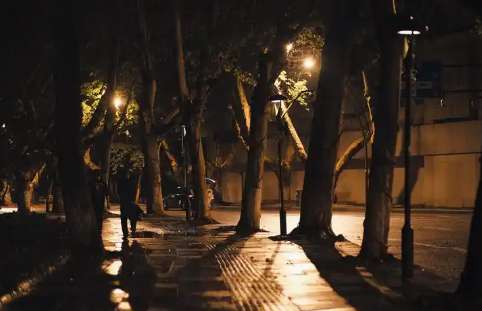 Screenshot_2025_0717_061620.png Screenshot_2025_0717_061620.png