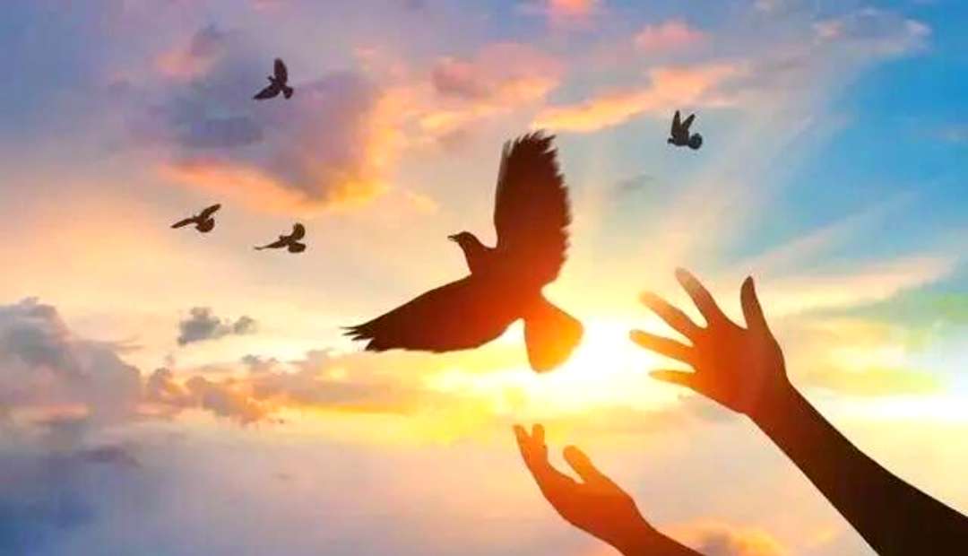 Screenshot_2025_0721_065825.png Screenshot_2025_0721_065825.png