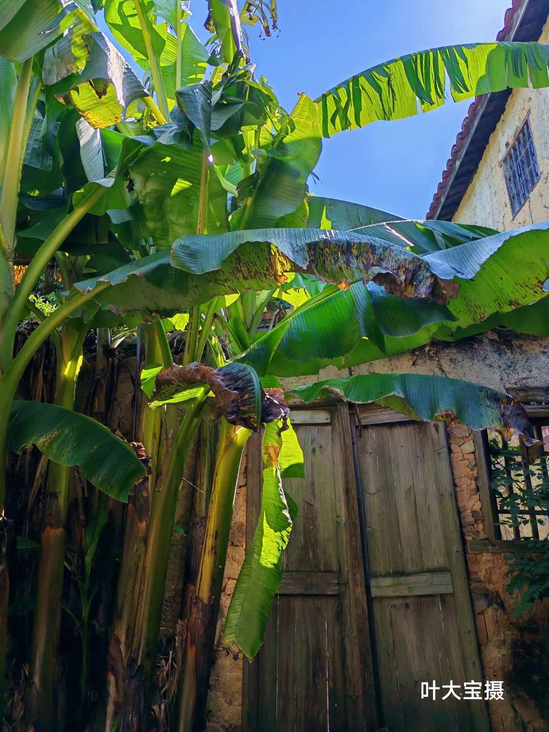 mmexport1753084612749.jpg mmexport1753084612749.jpg