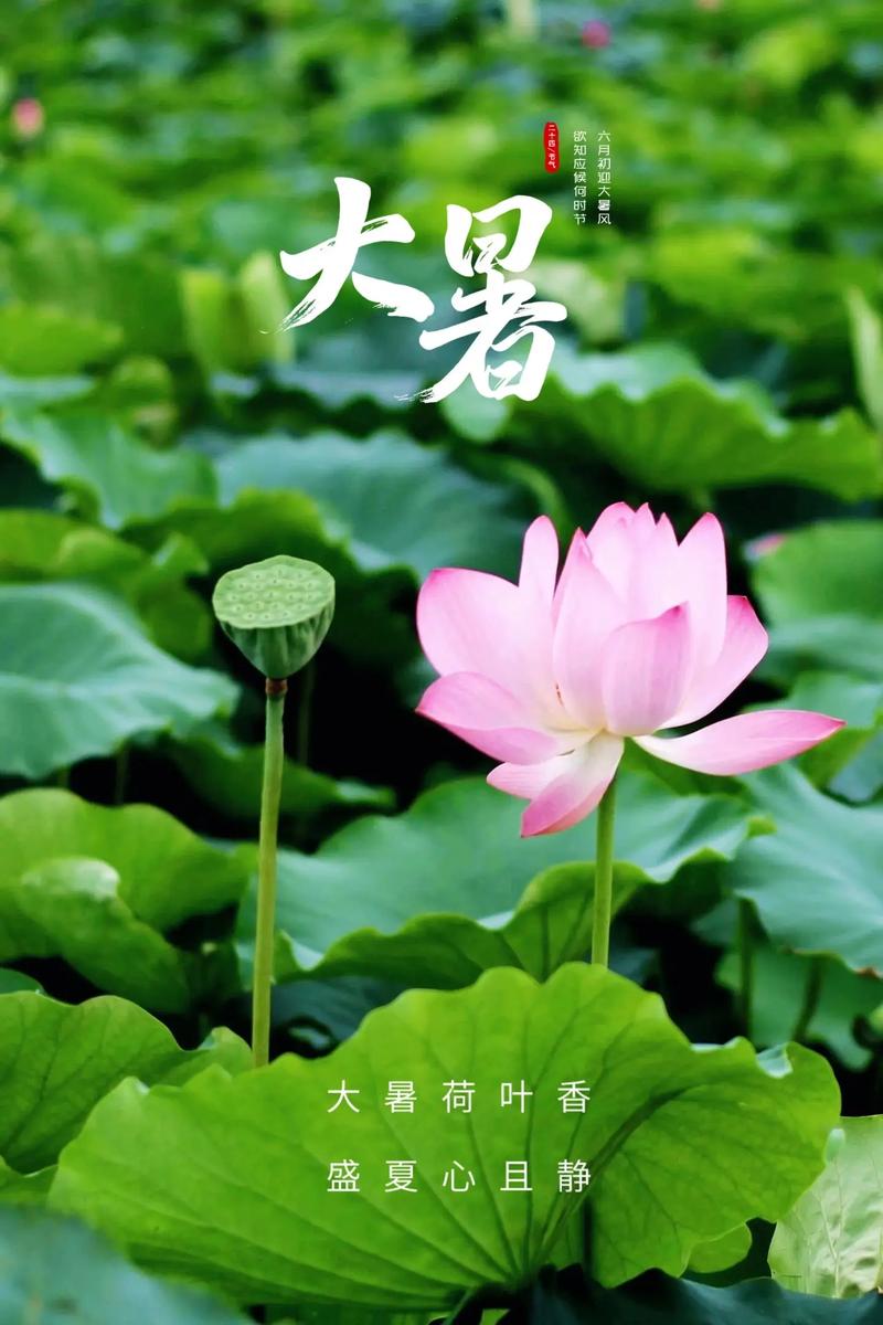 1753103412881.jpeg 1753103412881.jpeg