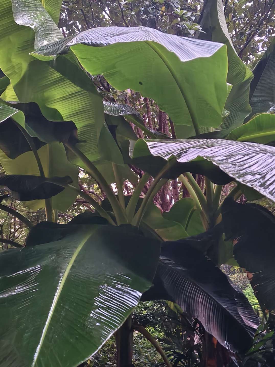 Screenshot_2025_0723_061352.png Screenshot_2025_0723_061352.png