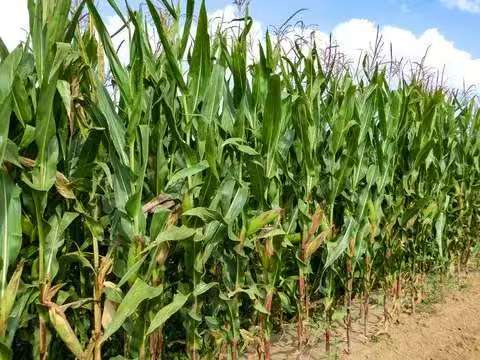 2b97343f8bc8bf1e350b6c1f11c53d82.jpg 2b97343f8bc8bf1e350b6c1f11c53d82.jpg