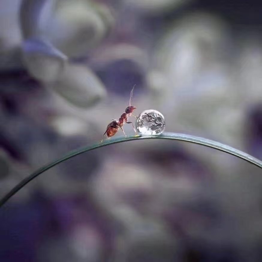 mmexport1754476659366.jpg mmexport1754476659366.jpg