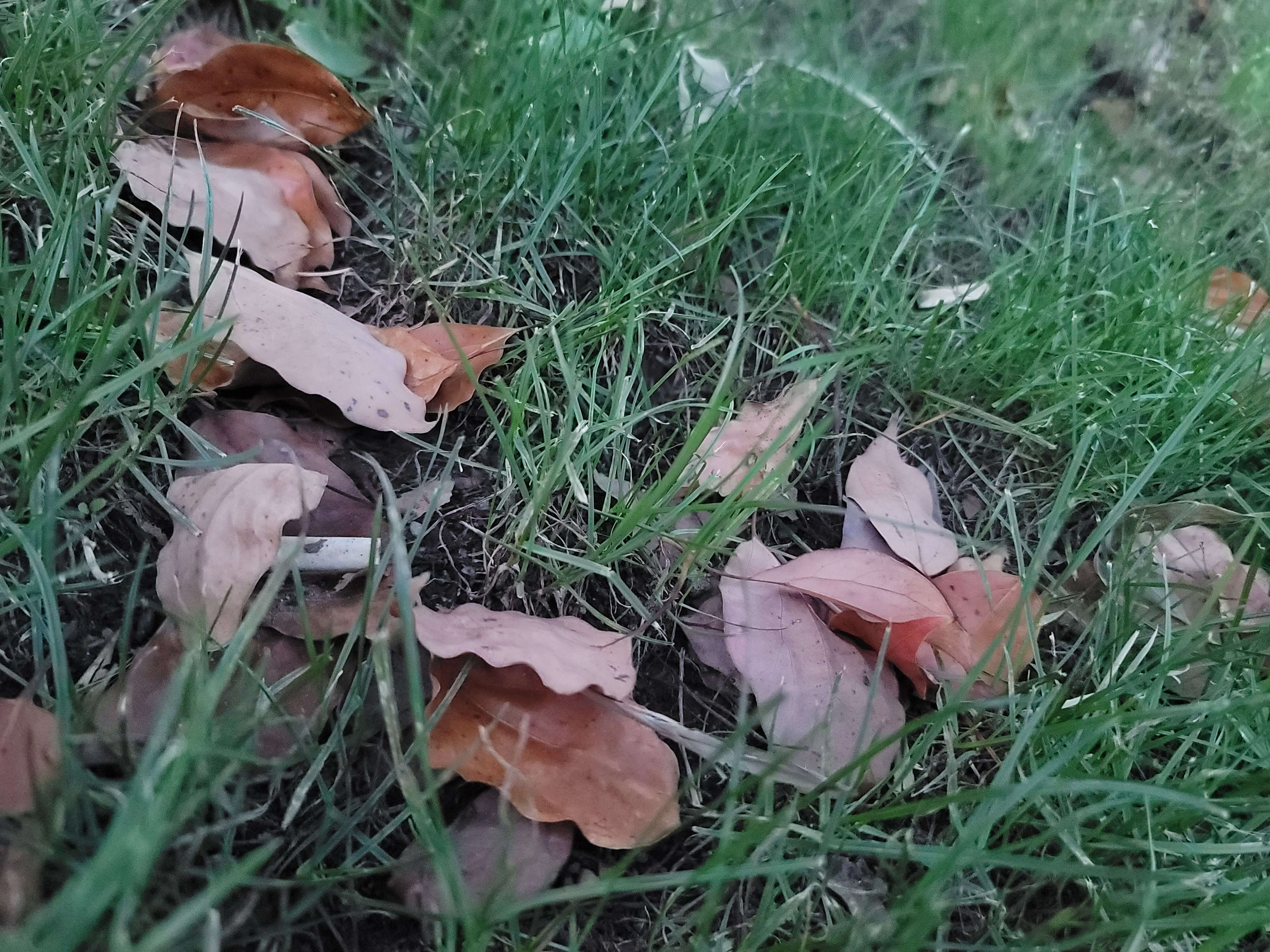 20250625_190343.jpg 20250625_190343.jpg