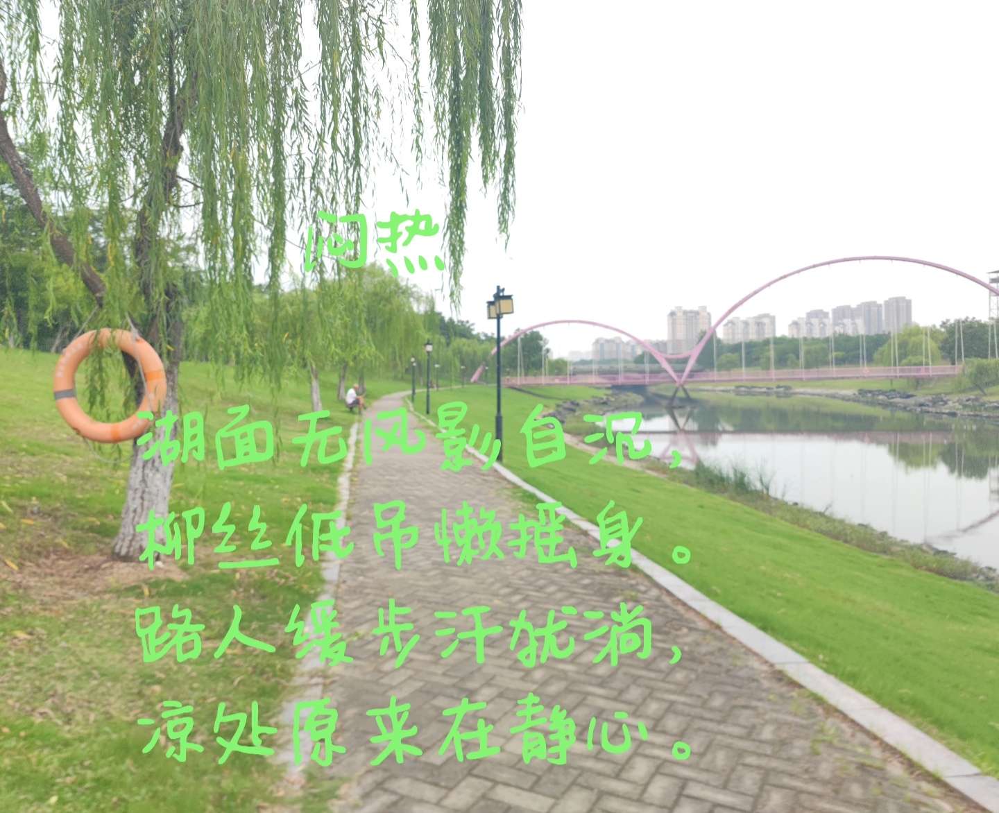 IMG_20250816_135339.jpg IMG_20250816_135339.jpg