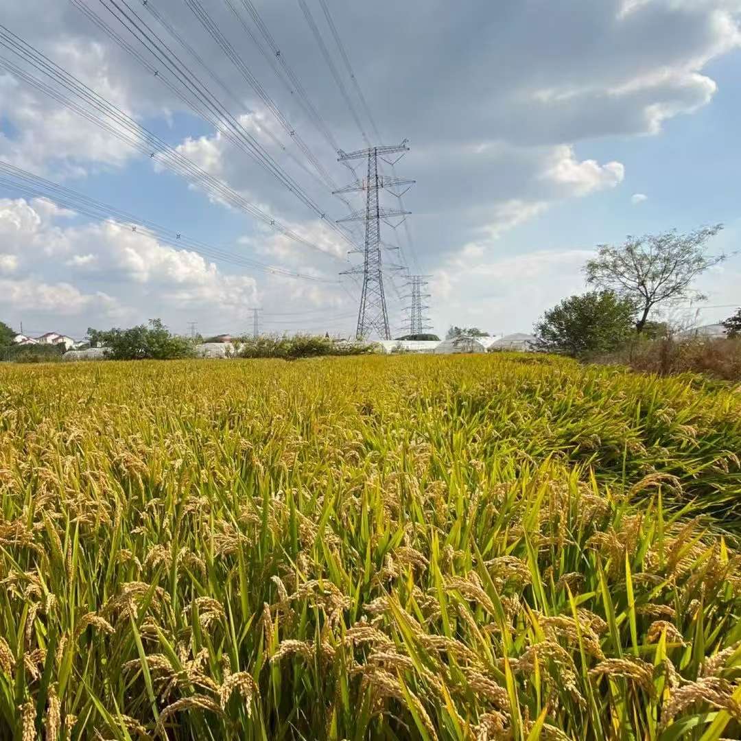 4c4a54eae9b62de4bc3d265f5d529ab1.jpg 4c4a54eae9b62de4bc3d265f5d529ab1.jpg