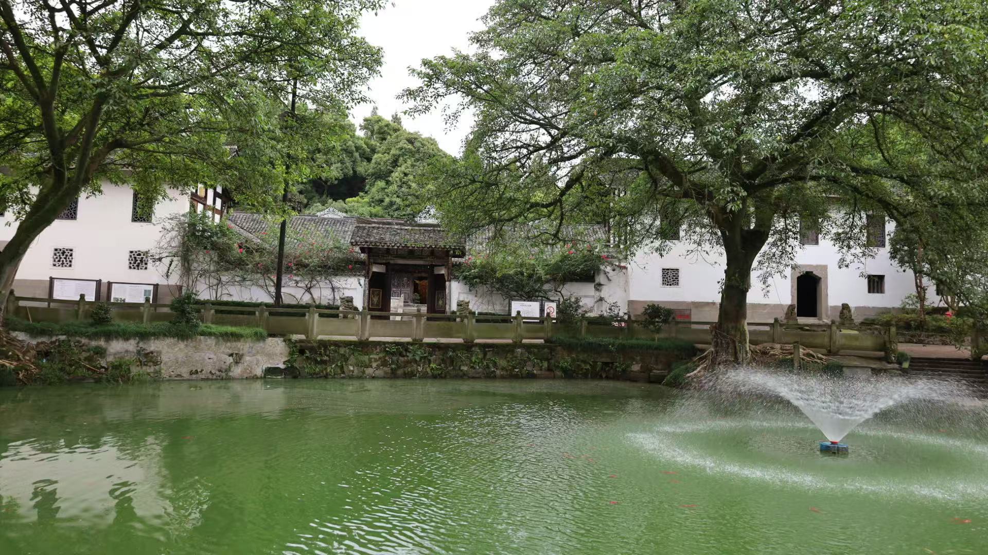 mmexport1758334489636.jpg mmexport1758334489636.jpg