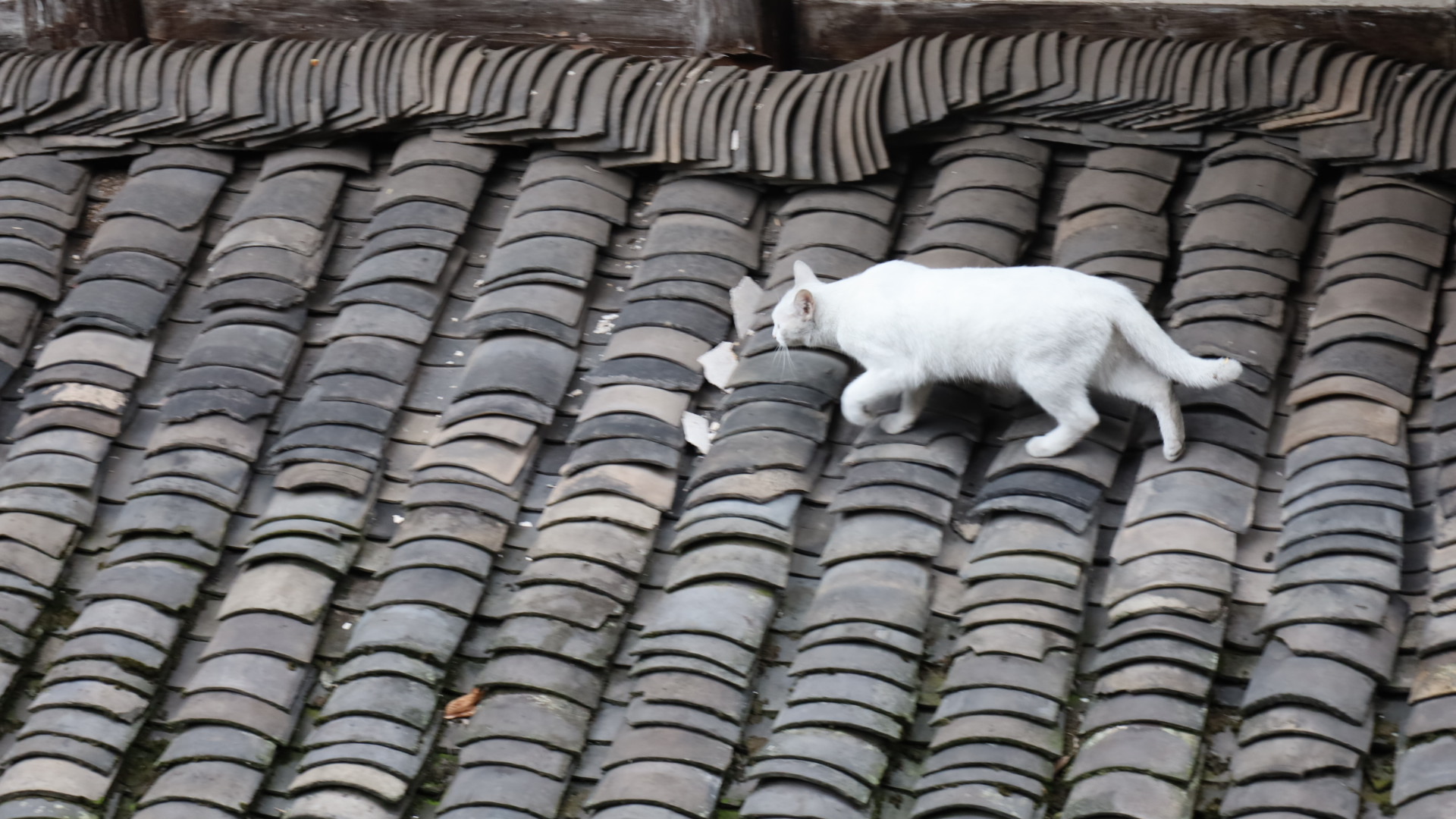 mmexport1758326859493.jpg mmexport1758326859493.jpg