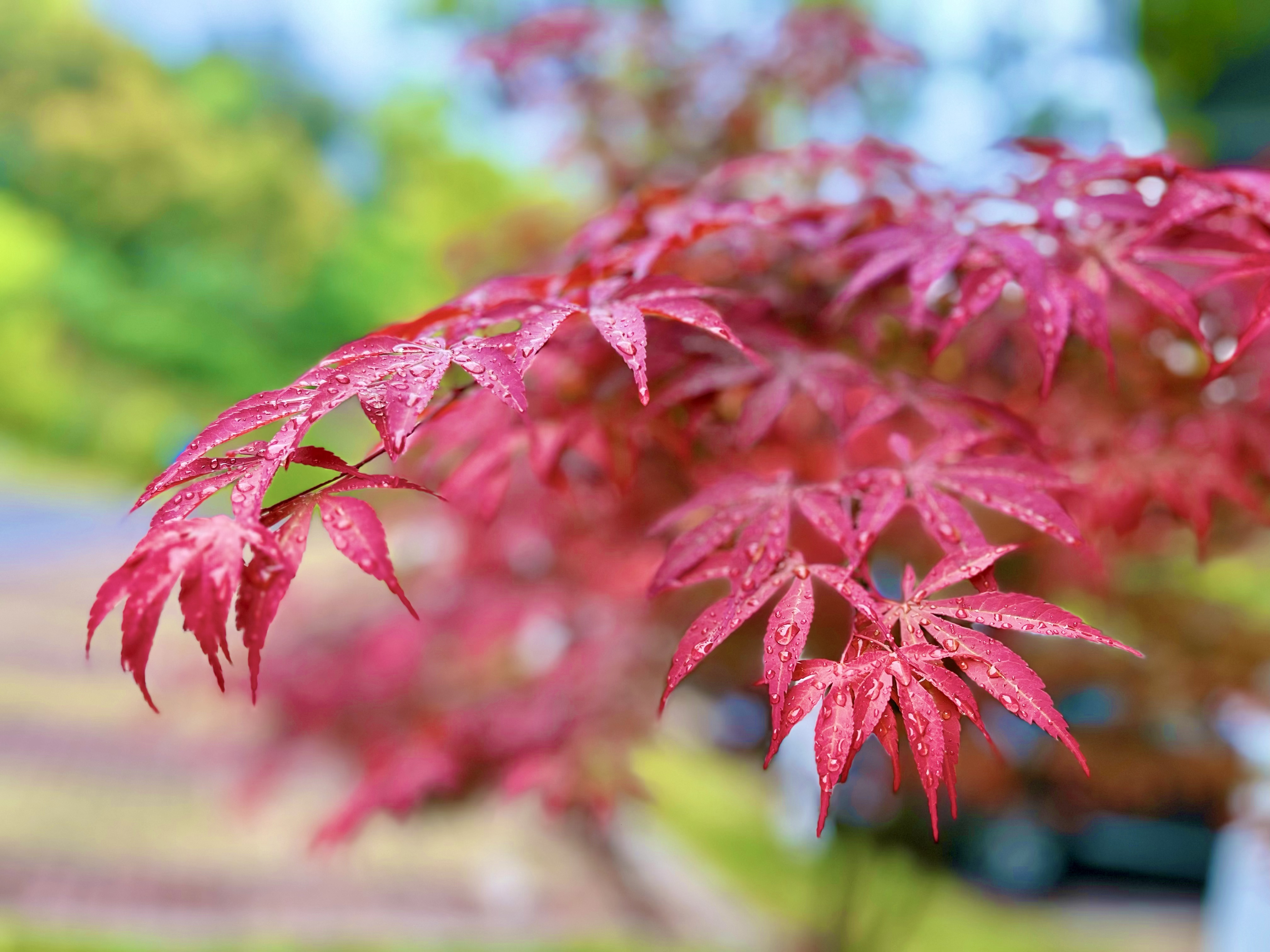 mmexport1760234586068.jpg mmexport1760234586068.jpg