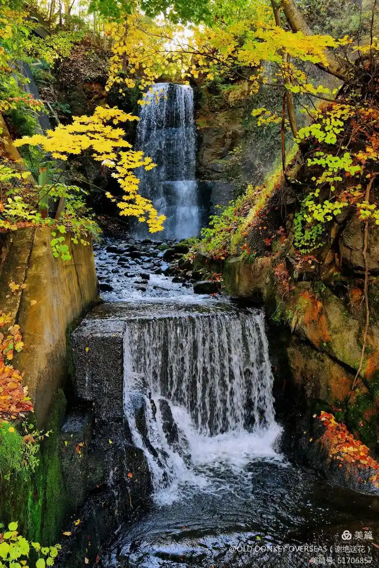 ss2.meipian (2).webp