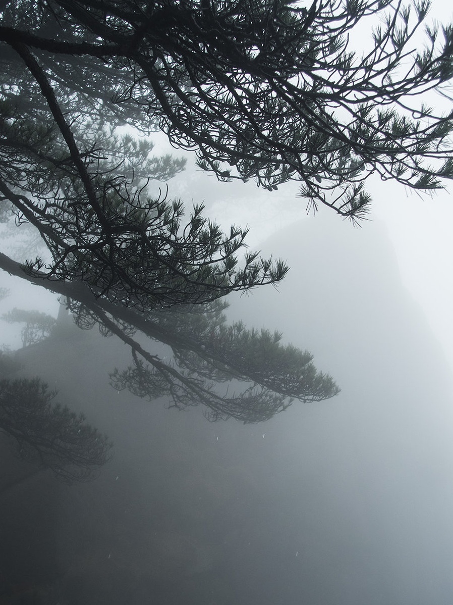 78237211_1521108679289_mthumb (1)_edit_332927723092426.jpg