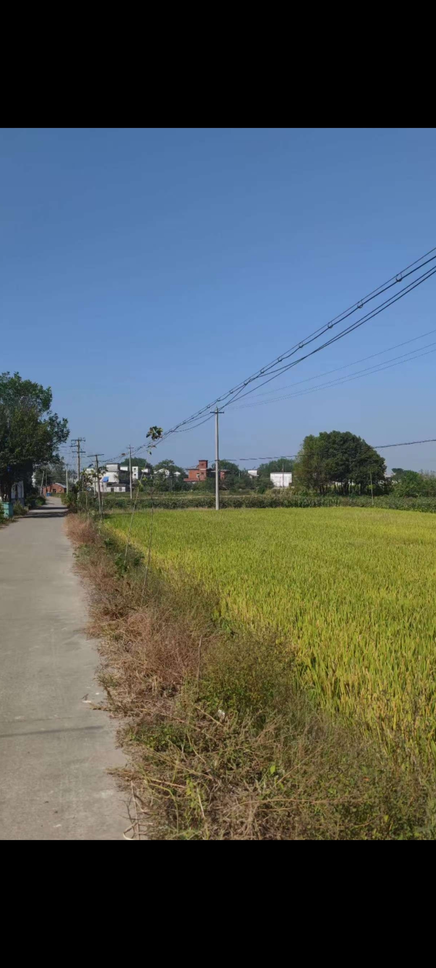 Screenshot_2025-10-28-06-55-25-536_com.miui.gallery.jpg Screenshot_2025-10-28-06-55-25-536_com.miui.gallery.jpg