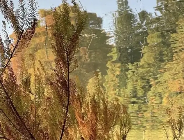 EB5840C8-6425-434F-A5C7-7D40CD76E039.jpeg EB5840C8-6425-434F-A5C7-7D40CD76E039.jpeg