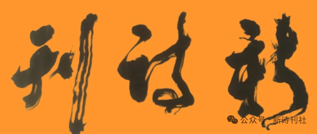 mmexport1772371079569.jpg mmexport1772371079569.jpg