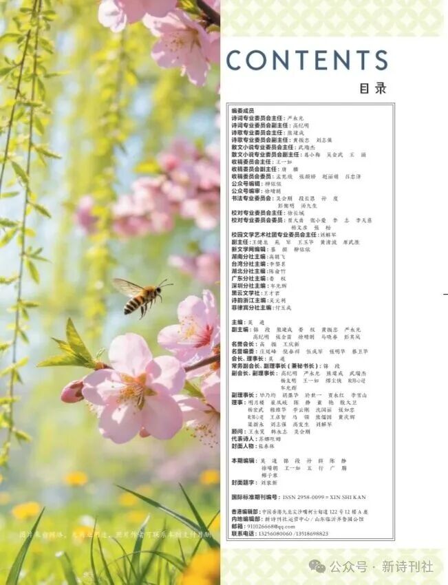 image_1776052232287.jpg image_1776052232287.jpg