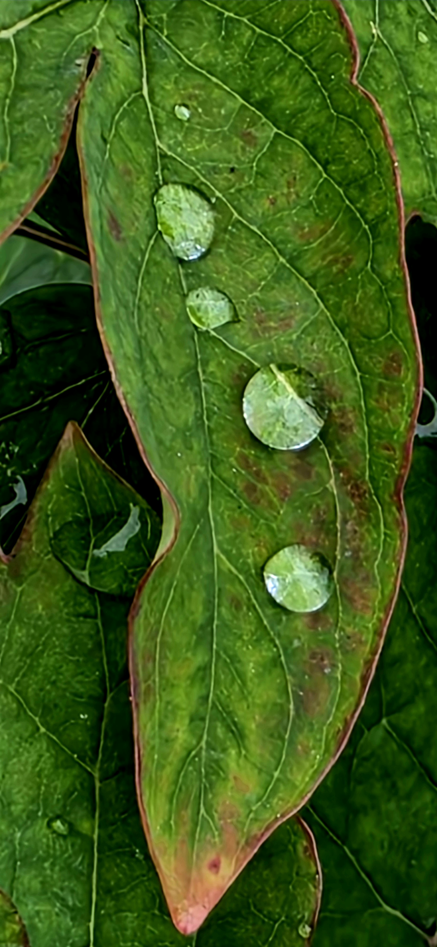 20260502_101745.jpg
