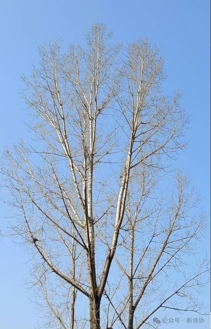 image_1780397795155.png