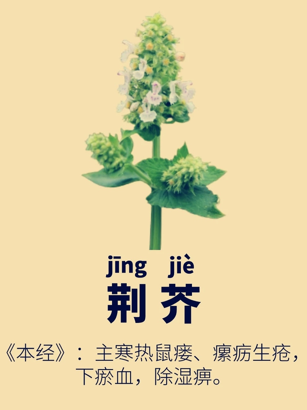 m.image.so.com_t041f4a94bbe08374ae_edit_200043873918615.jpg