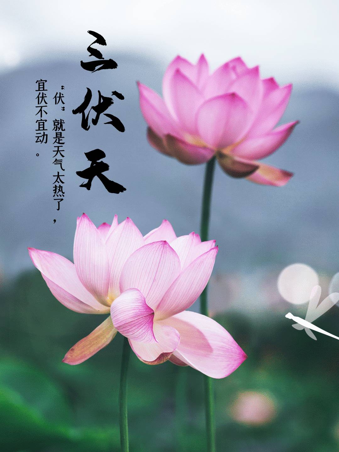 small_fd6dee2d23f304d65b1620f9b65dafb8_edit_274610843176847.png