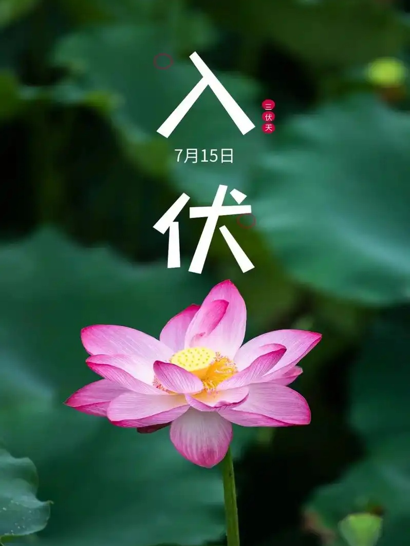 u=1329145733,3416739002&fm=253&fmt=auto&app=138&f=JPEG_edit_274635275744031.jpg